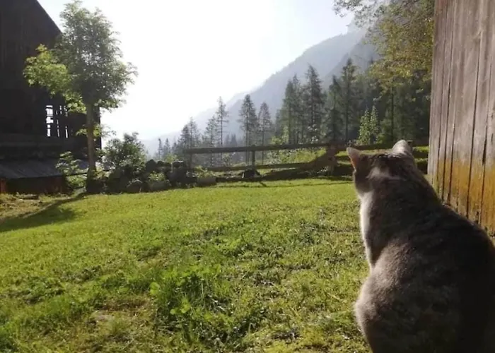 Ciesa Del Selmo Faure Дом отдыха *